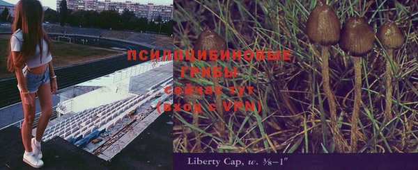 эйфоретик Белоозёрский