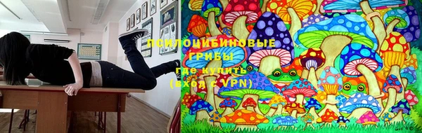 кокаин перу Белокуриха